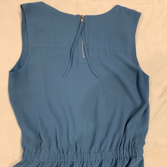 Naked Zebra Medium Dress - Picture 7 of 7